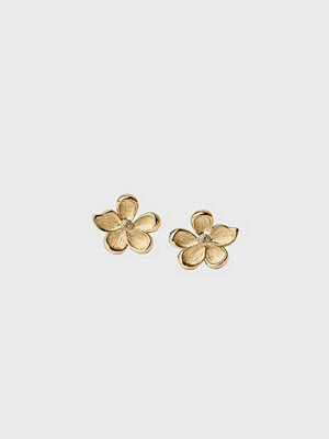 Muli Collection örhängen Midi Flower Earring - Guld