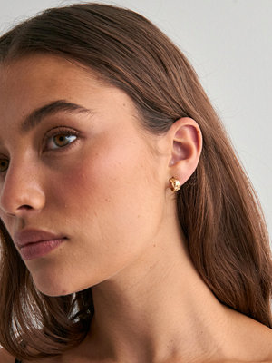 Pilgrim örhängen INSTANT earrings - Guld