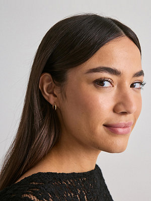 Pilgrim örhängen Nova Hoop Earrings - Guld
