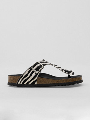 Scholl Anais Animal - Multi/Mönstrad