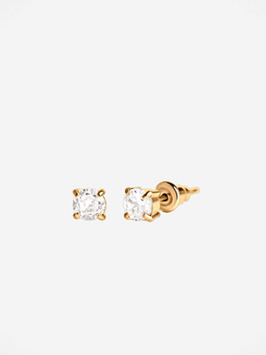 Muli Collection örhängen Ora Studs - Guld