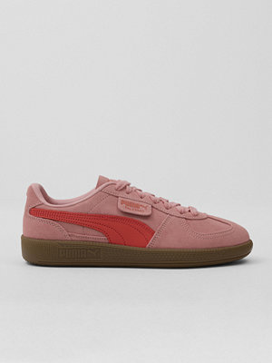 Puma Palermo - Rosa