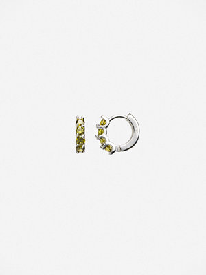 Muli Collection örhängen Ora Huggie - Guld