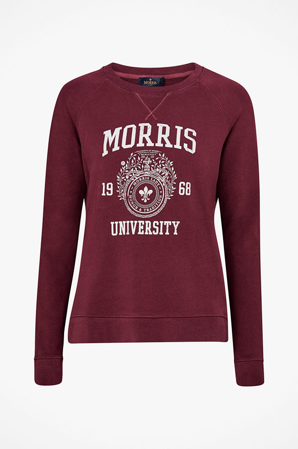 Morris Sweatshirt Ivy