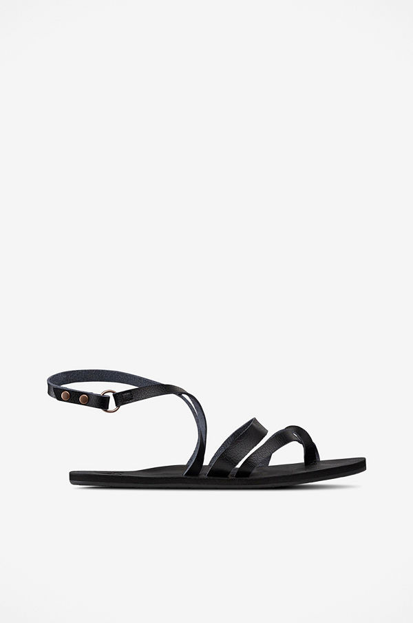 Roxy Sandaler Rachelle