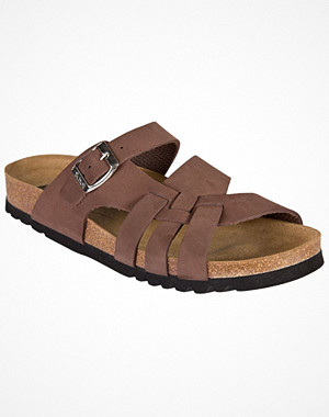 Scholl Carsol Brown