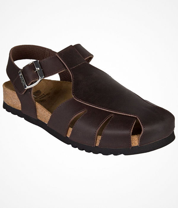 Scholl Sisare AD Dark brown leather