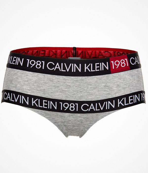 Calvin Klein 1981 Bold High Waist Hipster Grey