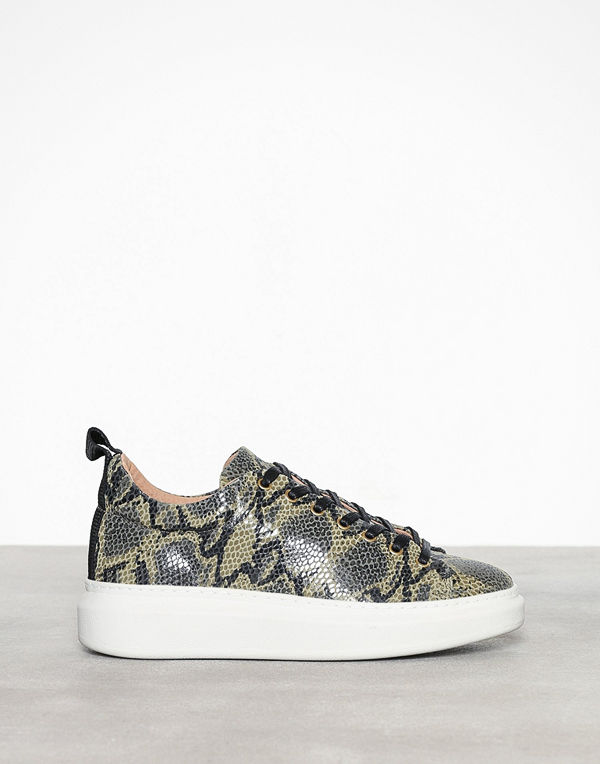 Pavement Dee Snake