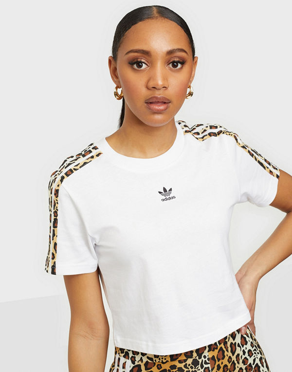 Adidas Originals CROPPED TEE