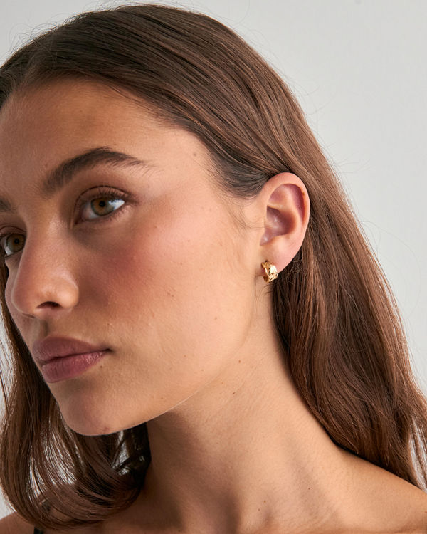 Pilgrim örhängen INSTANT earrings - Guld